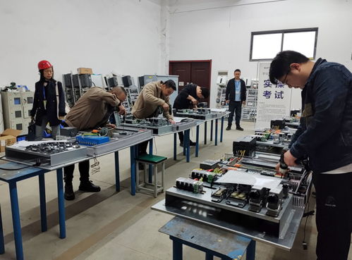 荊州區技能等級認定 信息技術咨詢服務走進企業